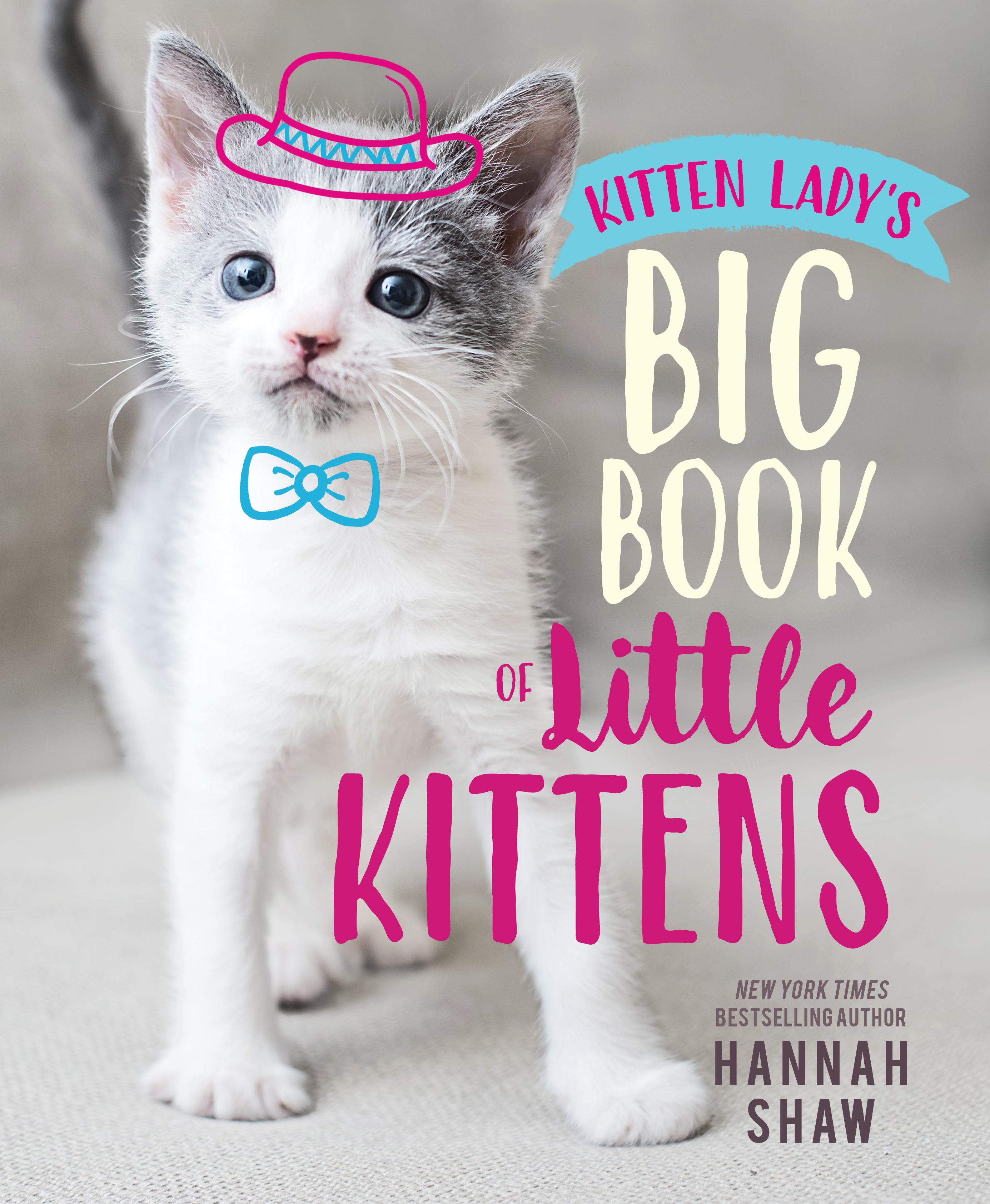 Vorderes Coverbild Kitten Lady's Big Book of Little Kittens