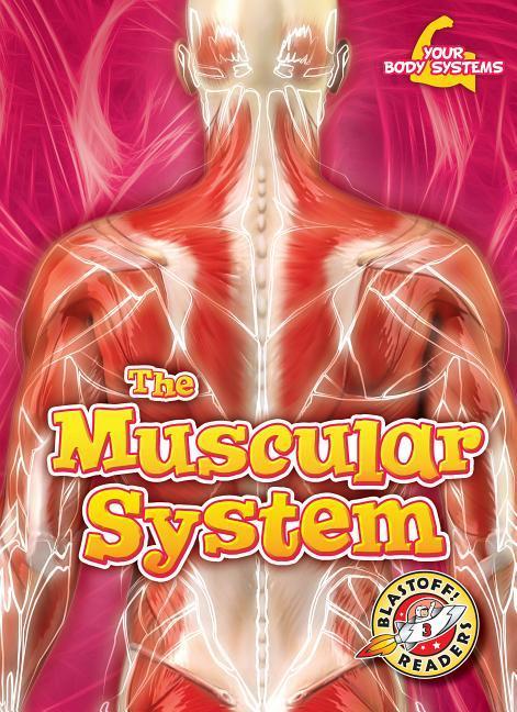 Vorderes Coverbild The Muscular System