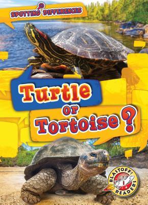 Vorderes Coverbild Turtle or Tortoise?