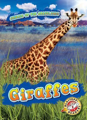 Vorderes Coverbild Giraffes