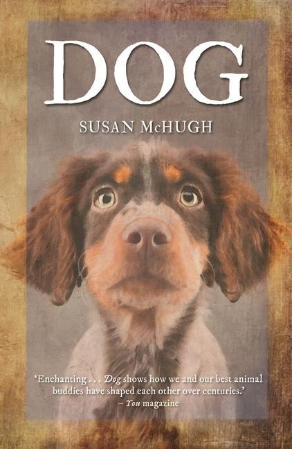Vorderes Coverbild Dog