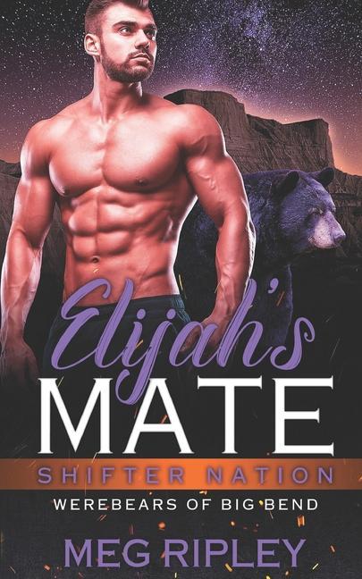 Vorderes Coverbild Elijah's Mate