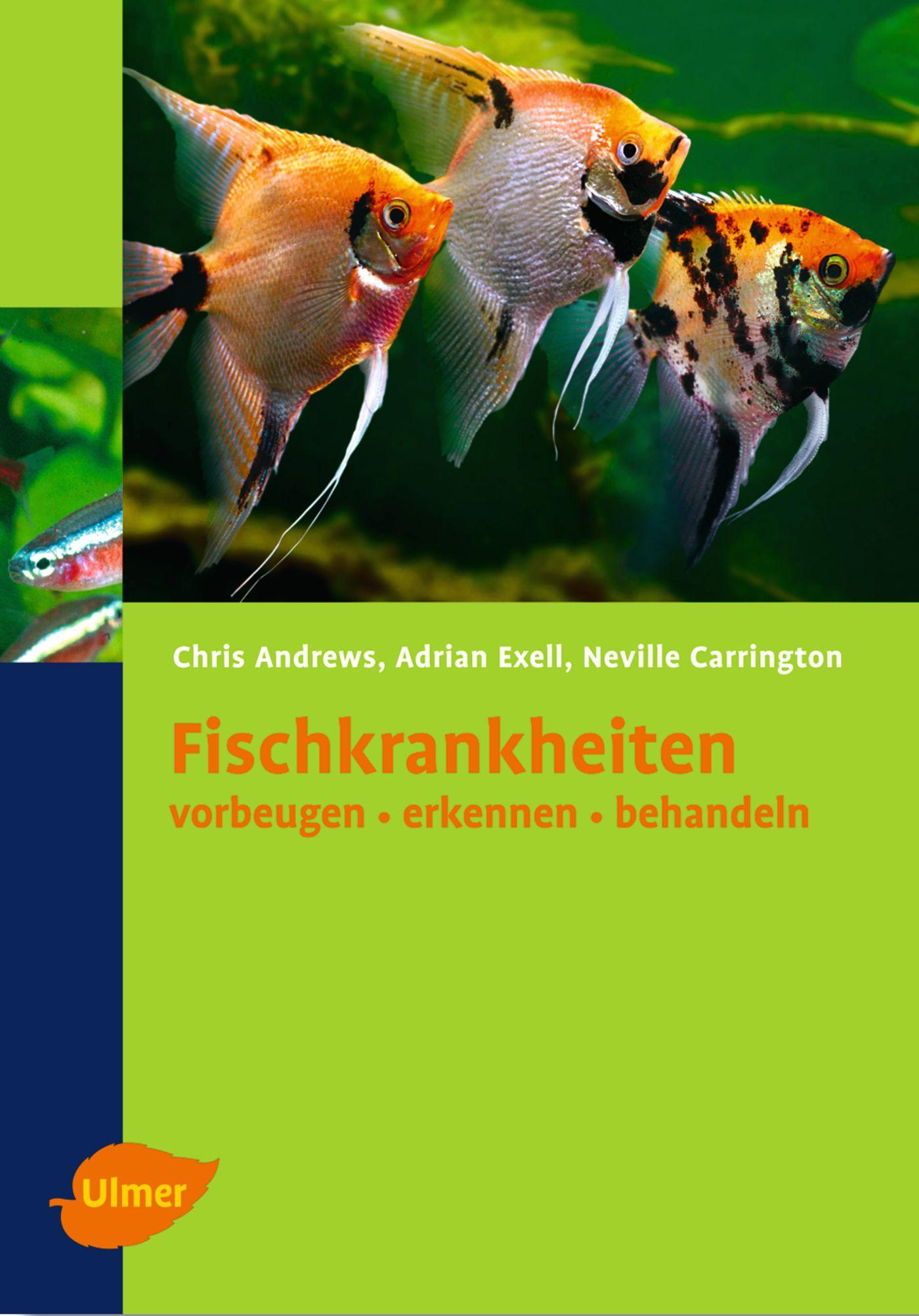 Vorderes Coverbild Fischkrankheiten