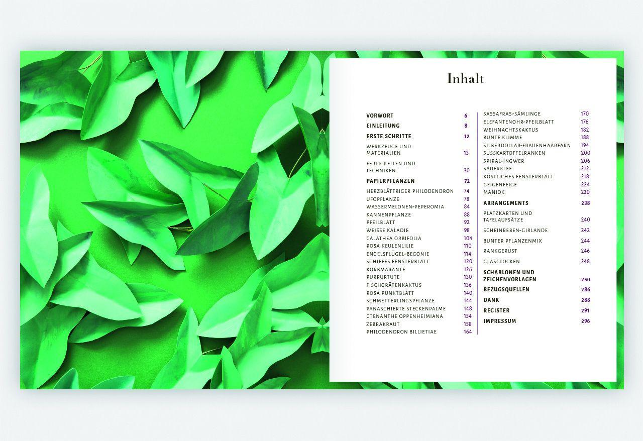 Beispielinhalt (Bild) Zimmerpflanzen aus der Papierwerkstatt