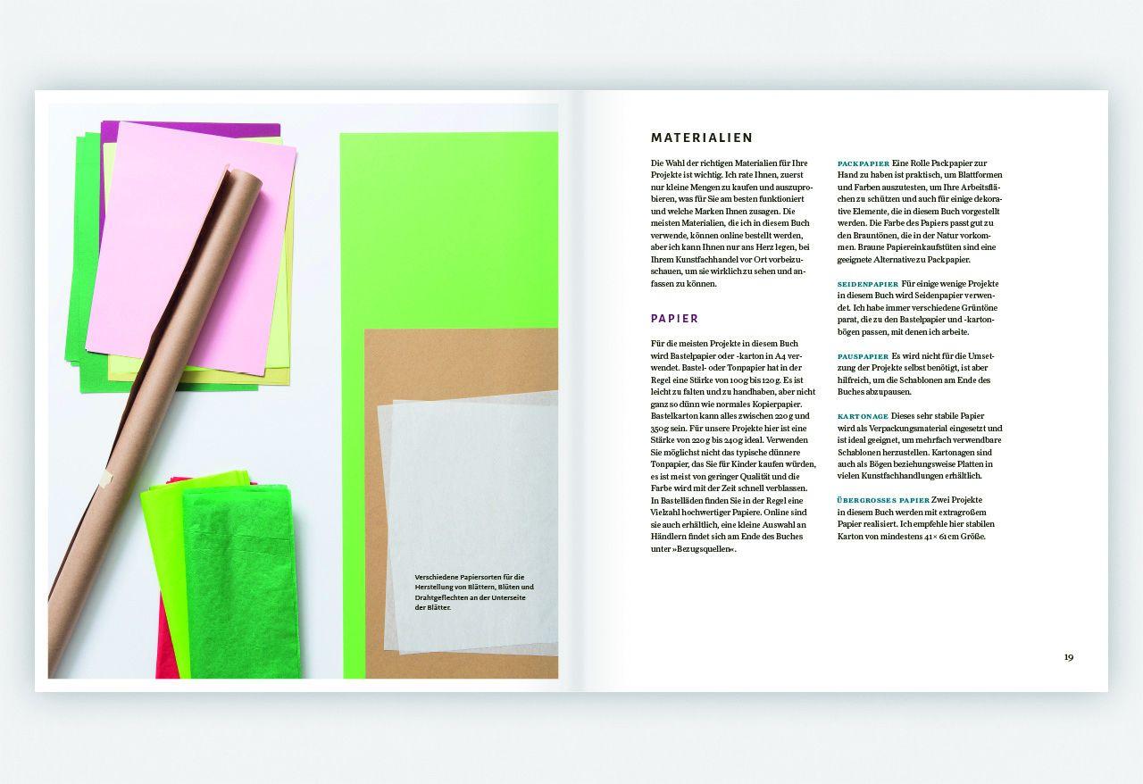 Beispielinhalt (Bild) Zimmerpflanzen aus der Papierwerkstatt