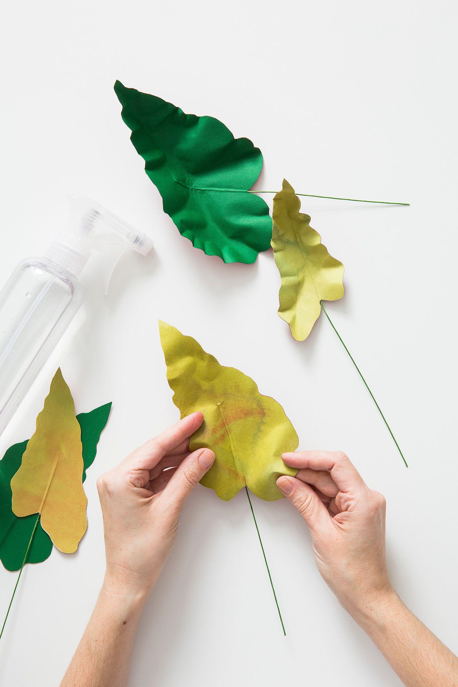 Beispielinhalt (Bild) Zimmerpflanzen aus der Papierwerkstatt