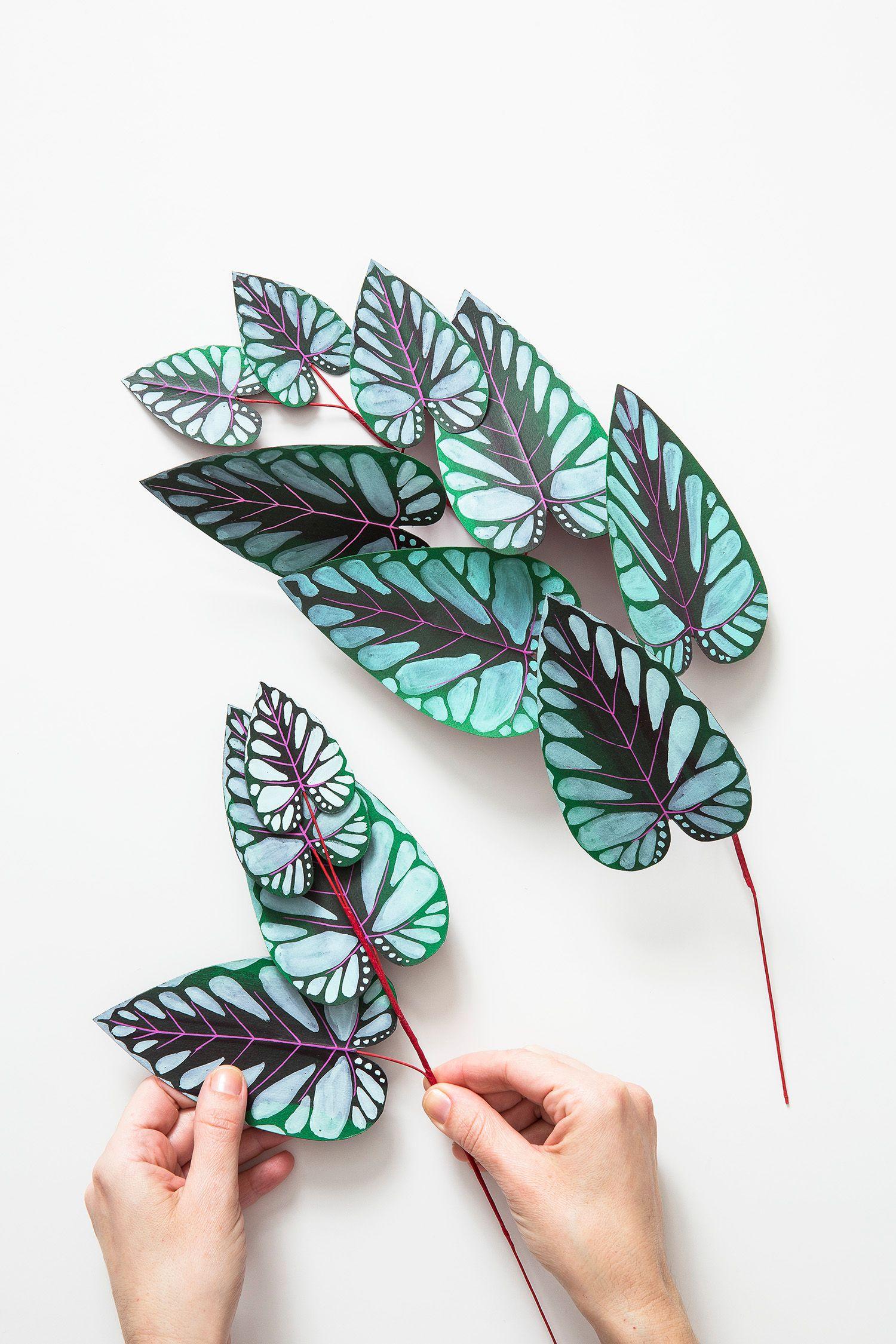 Beispielinhalt (Bild) Zimmerpflanzen aus der Papierwerkstatt