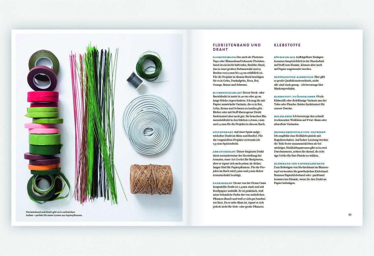 Beispielinhalt (Bild) Zimmerpflanzen aus der Papierwerkstatt