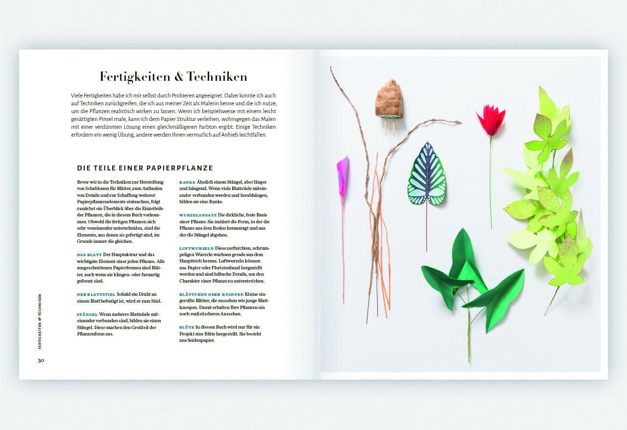 Beispielinhalt (Bild) Zimmerpflanzen aus der Papierwerkstatt