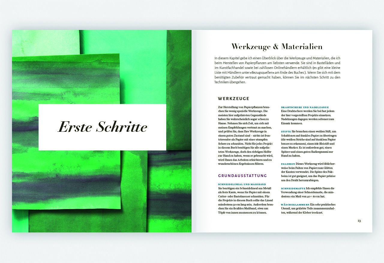 Beispielinhalt (Bild) Zimmerpflanzen aus der Papierwerkstatt