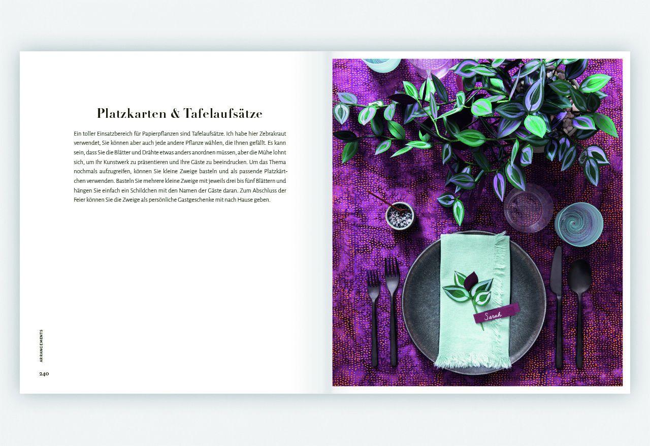 Beispielinhalt (Bild) Zimmerpflanzen aus der Papierwerkstatt