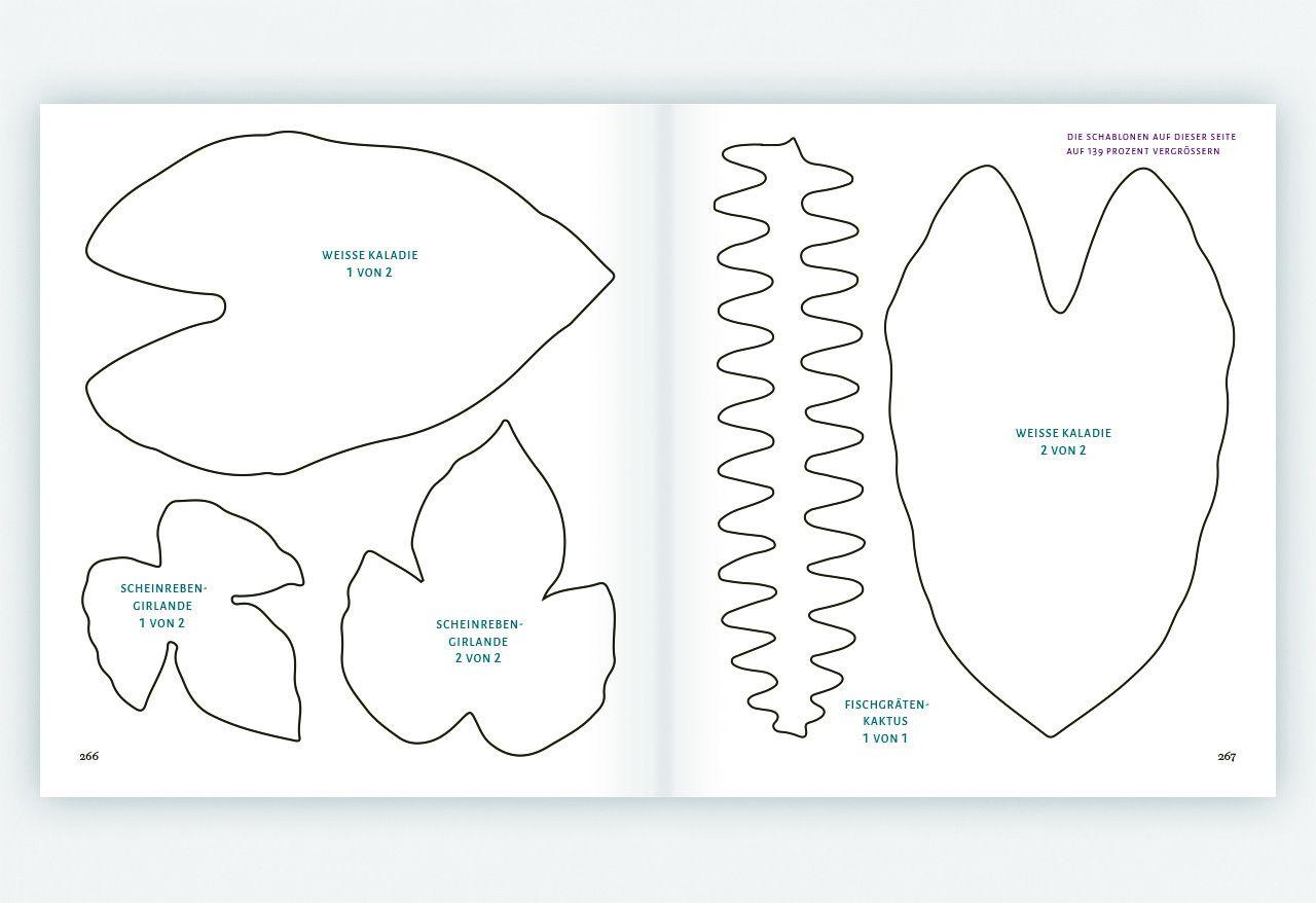 Beispielinhalt (Bild) Zimmerpflanzen aus der Papierwerkstatt