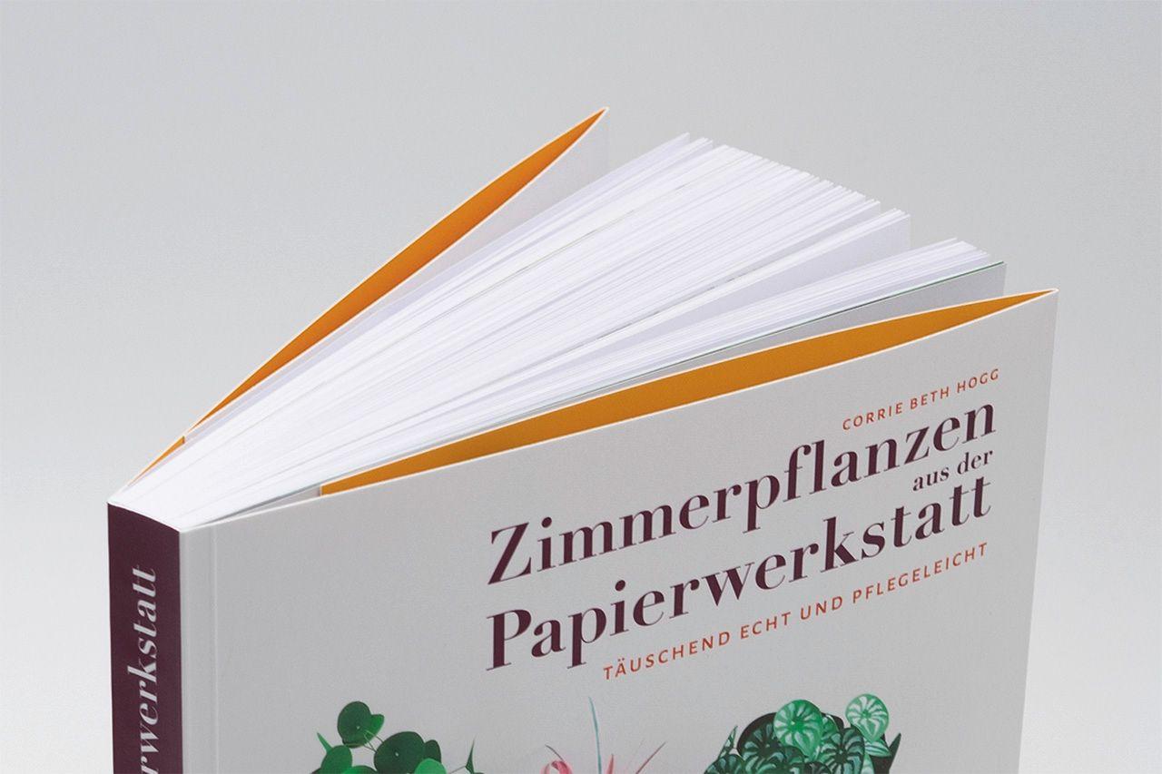 Beispielinhalt (Bild) Zimmerpflanzen aus der Papierwerkstatt