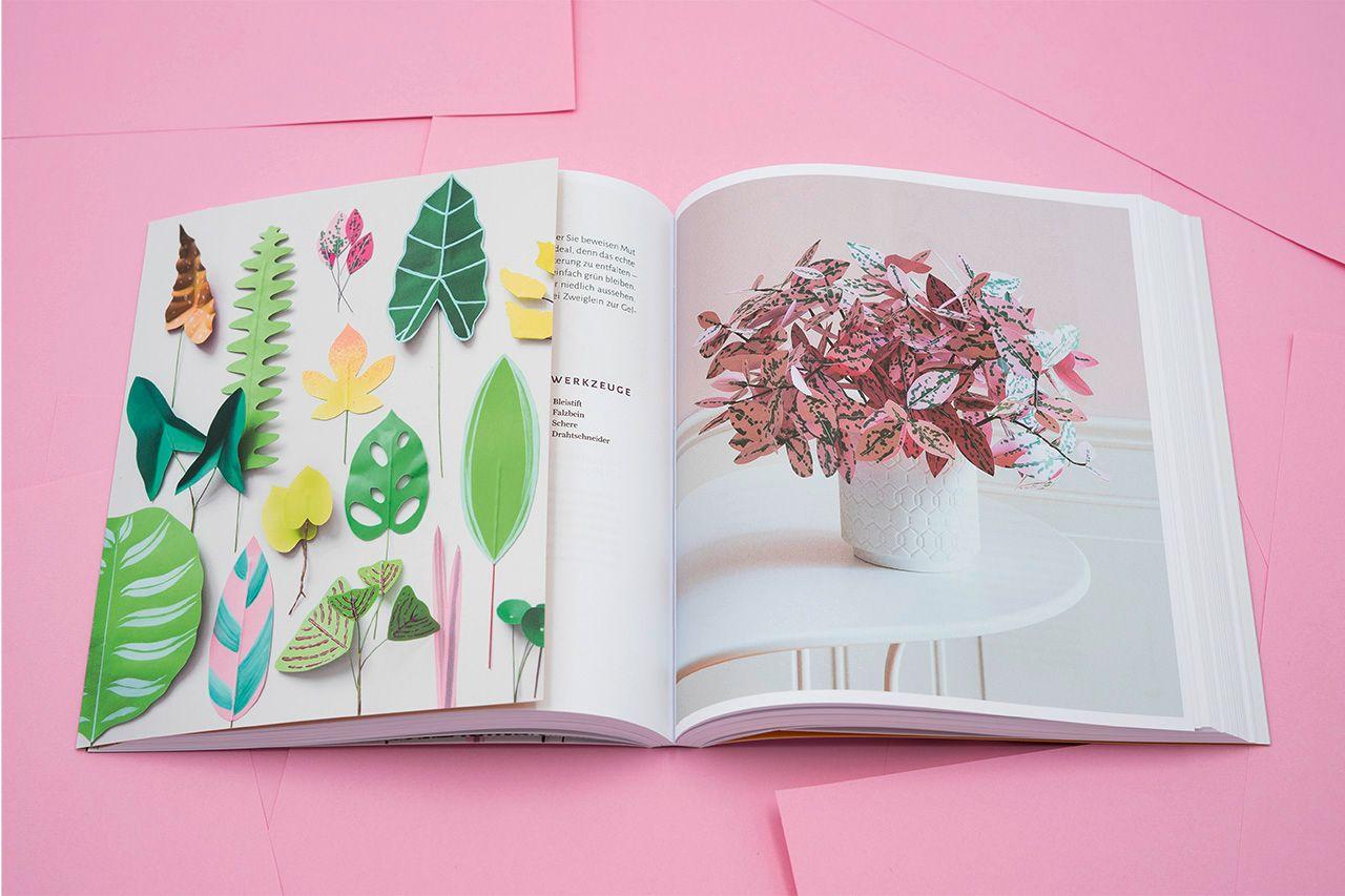 Beispielinhalt (Bild) Zimmerpflanzen aus der Papierwerkstatt