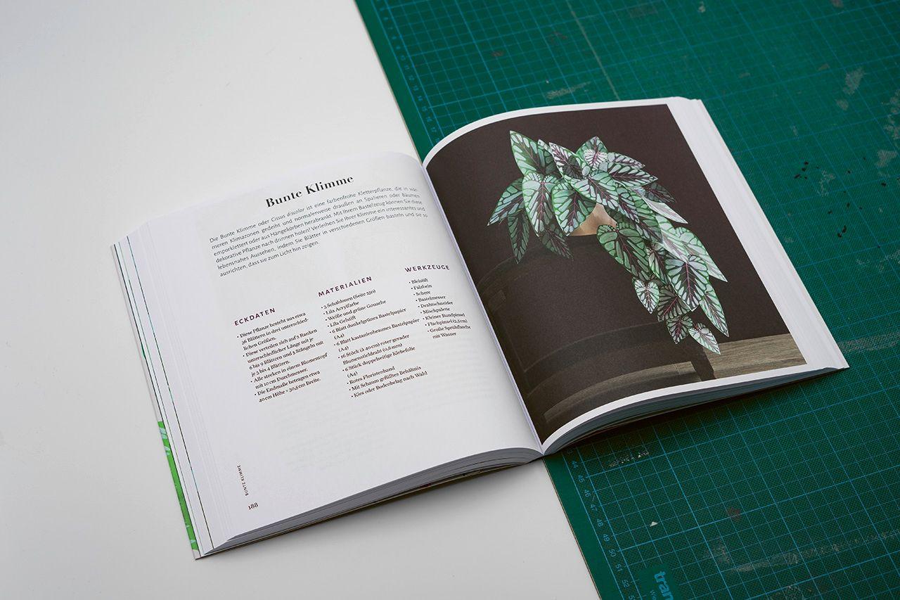 Beispielinhalt (Bild) Zimmerpflanzen aus der Papierwerkstatt