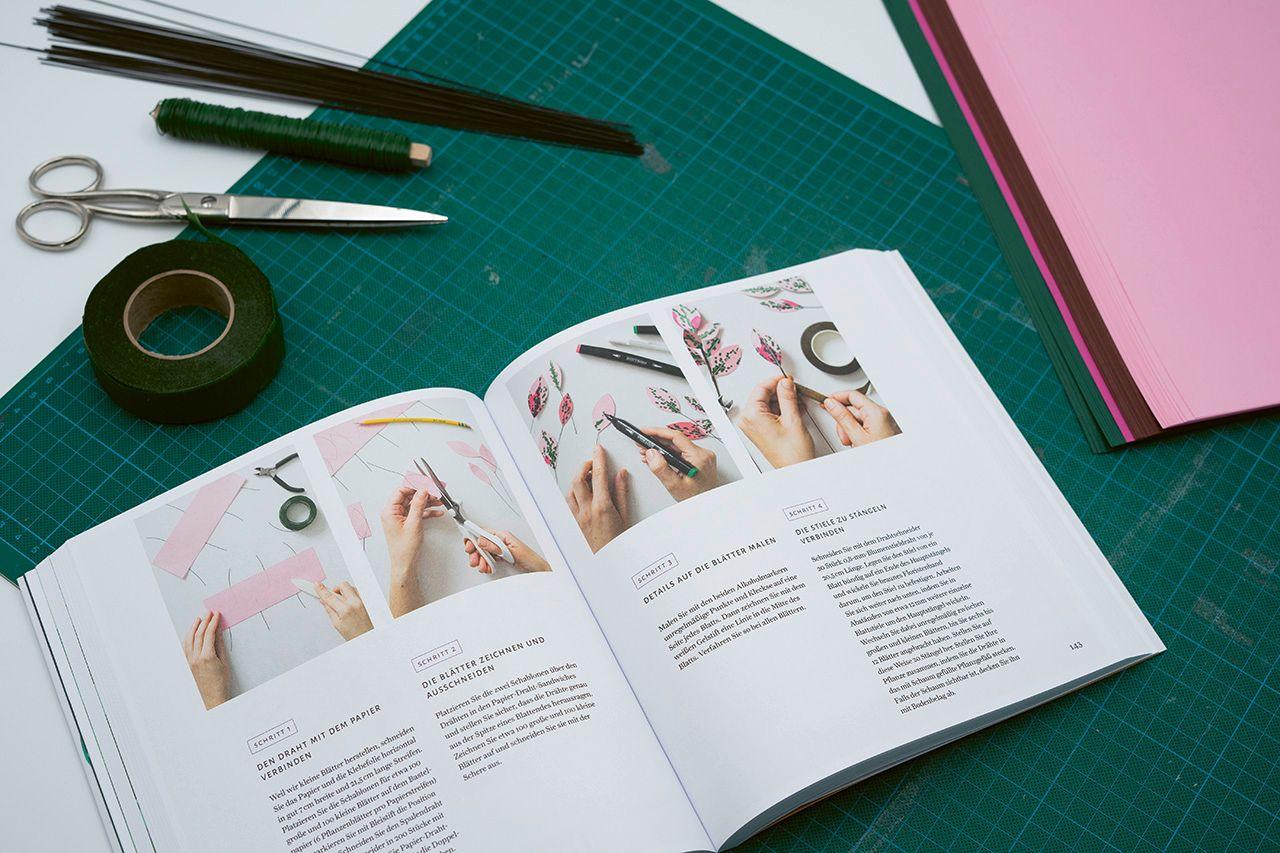 Beispielinhalt (Bild) Zimmerpflanzen aus der Papierwerkstatt