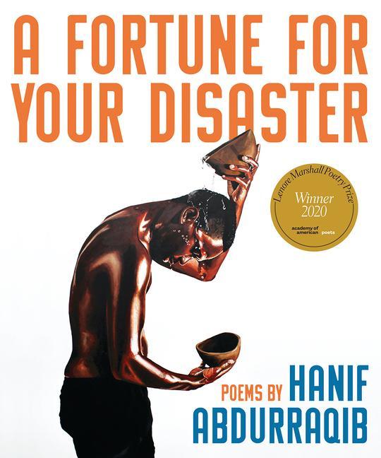 Vorderes Coverbild A Fortune for Your Disaster