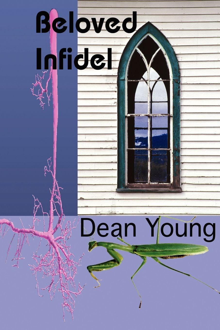 Vorderes Coverbild Beloved Infidel