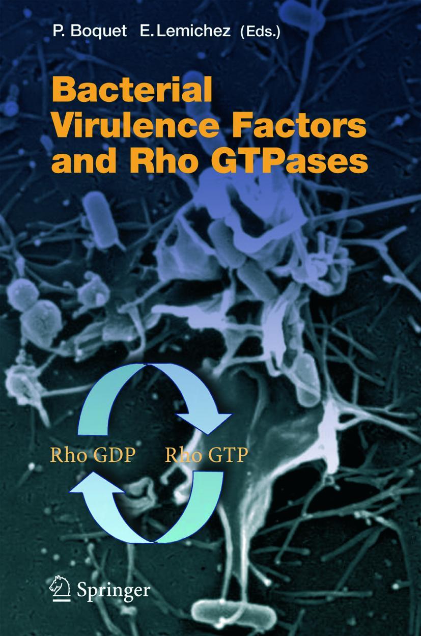 Vorderes Coverbild Bacterial Virulence Factors and Rho GTPases