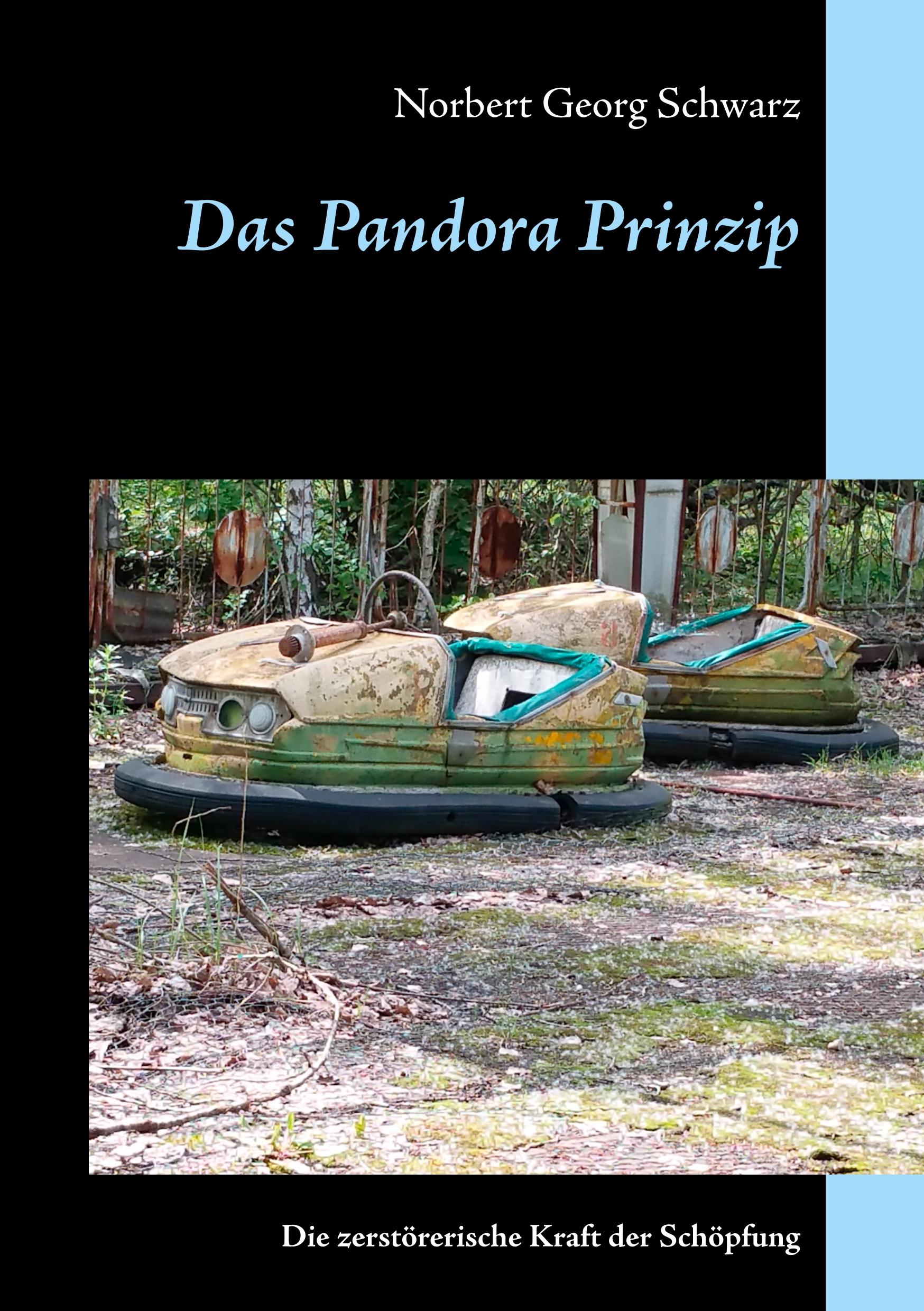 Vorderes Coverbild Das Pandora Prinzip