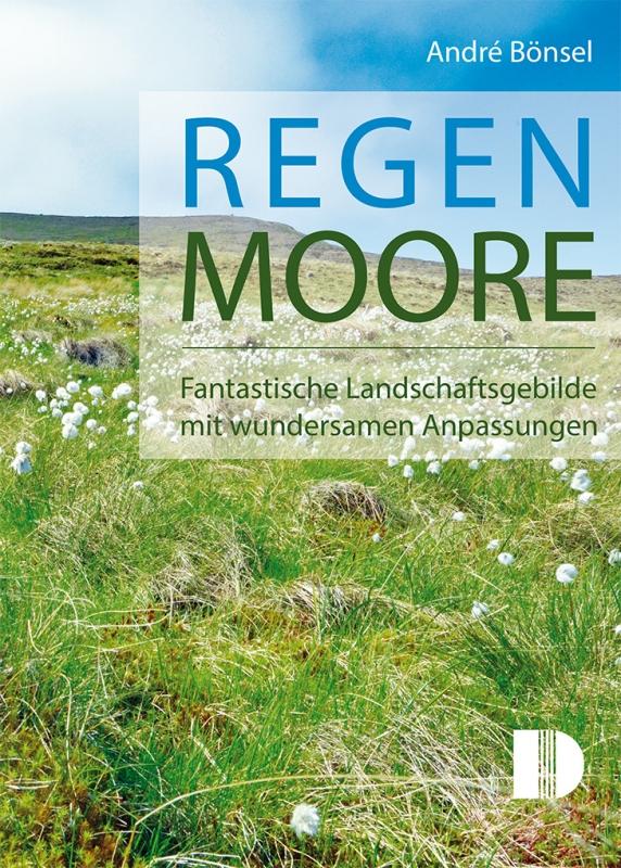 Vorderes Coverbild Regenmoore