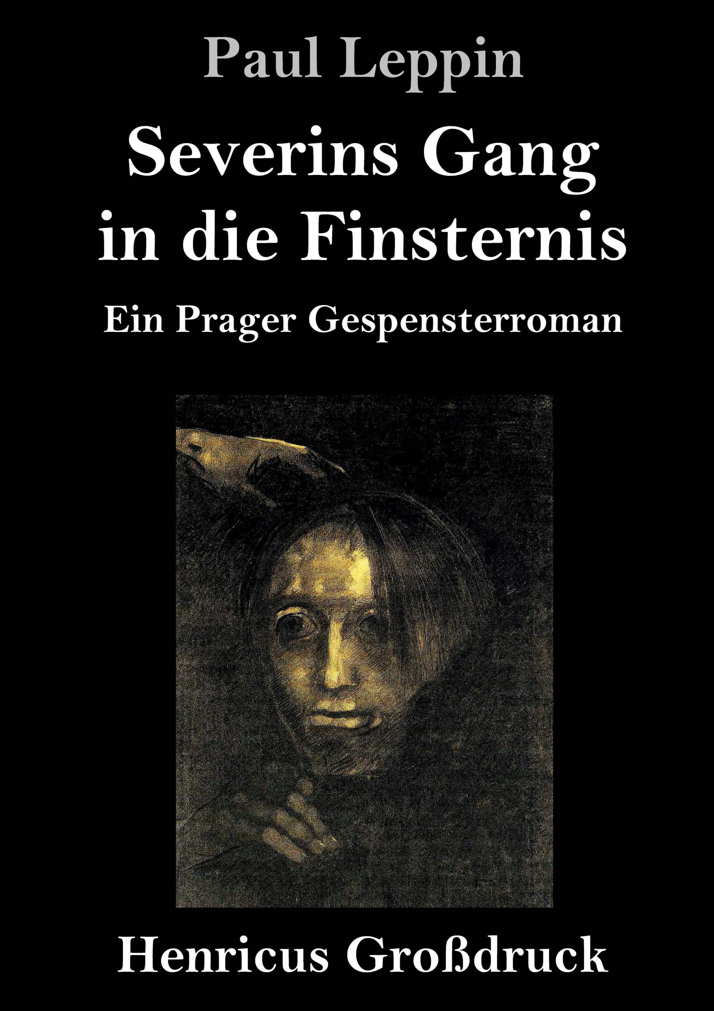 Vorderes Coverbild Severins Gang in die Finsternis (Großdruck)