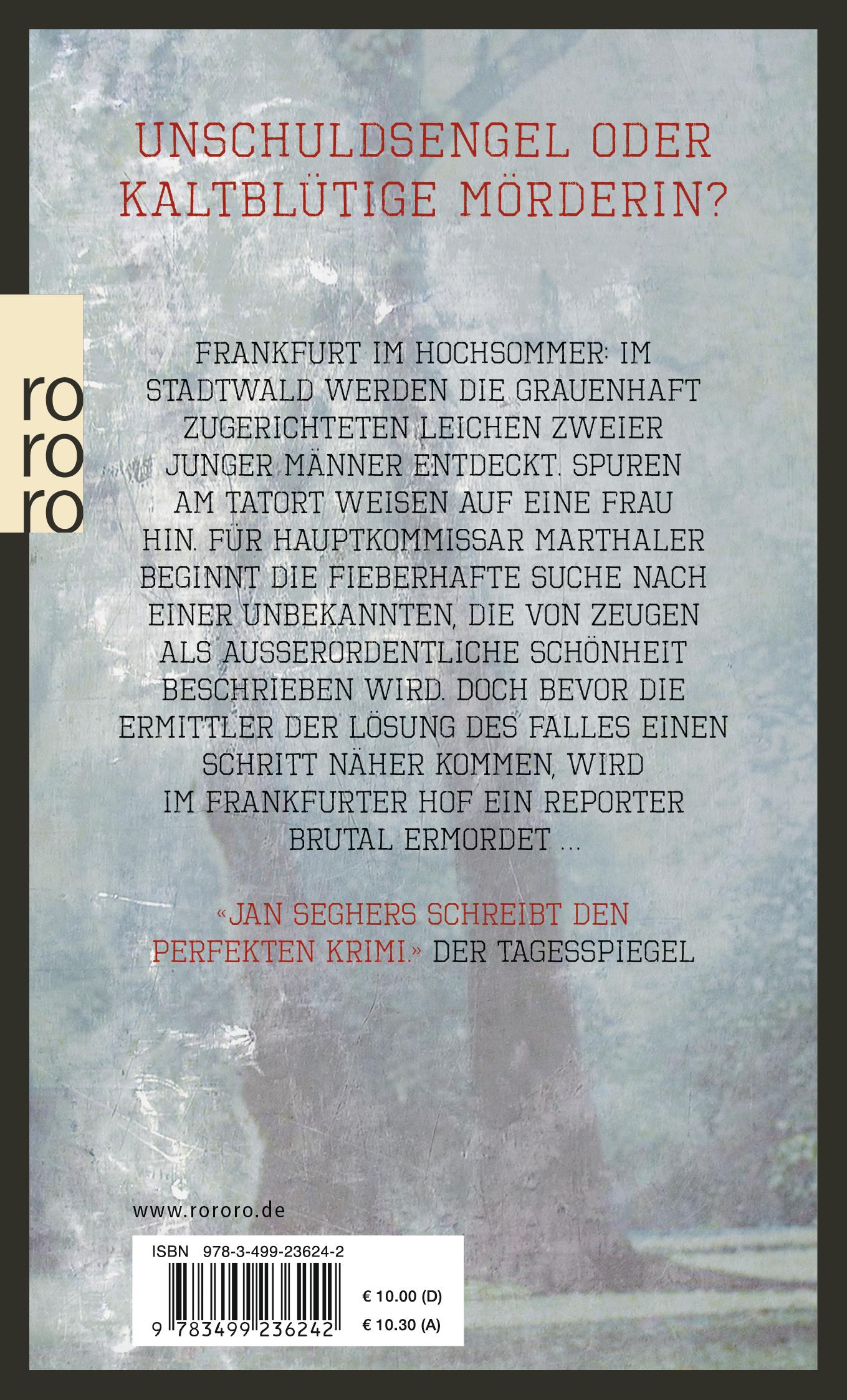 Rückseitencover Ein allzu schönes Mädchen