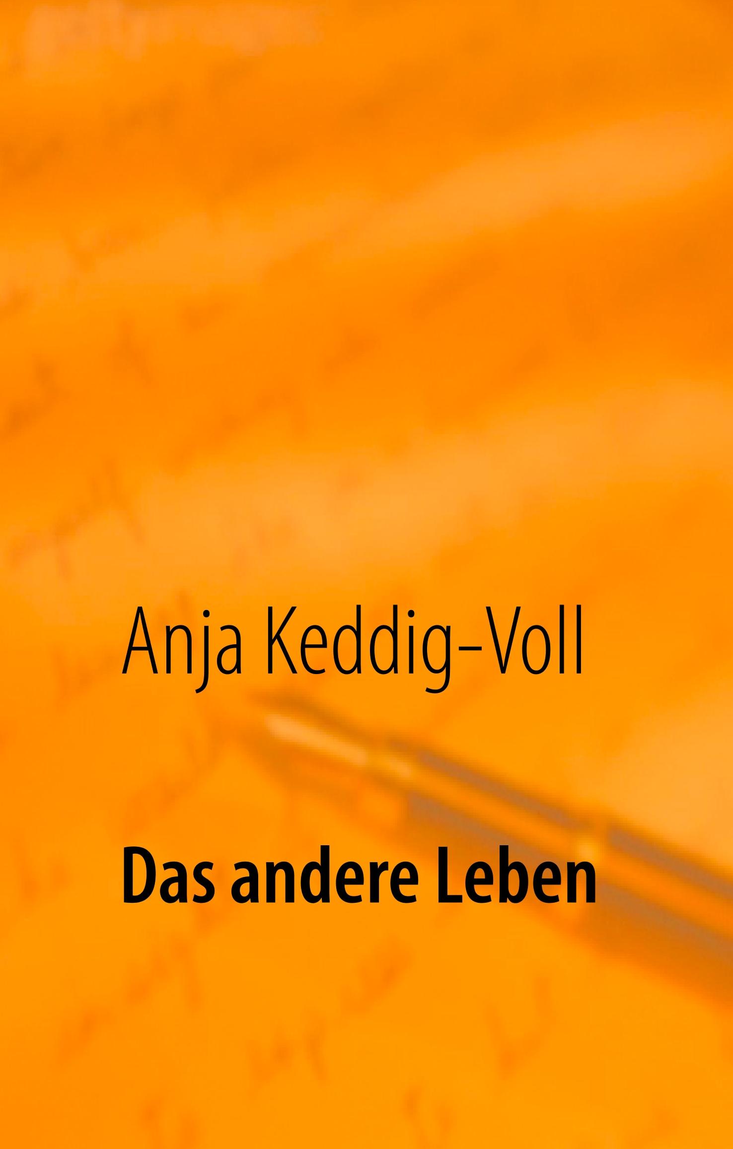 Vorderes Coverbild Das andere Leben