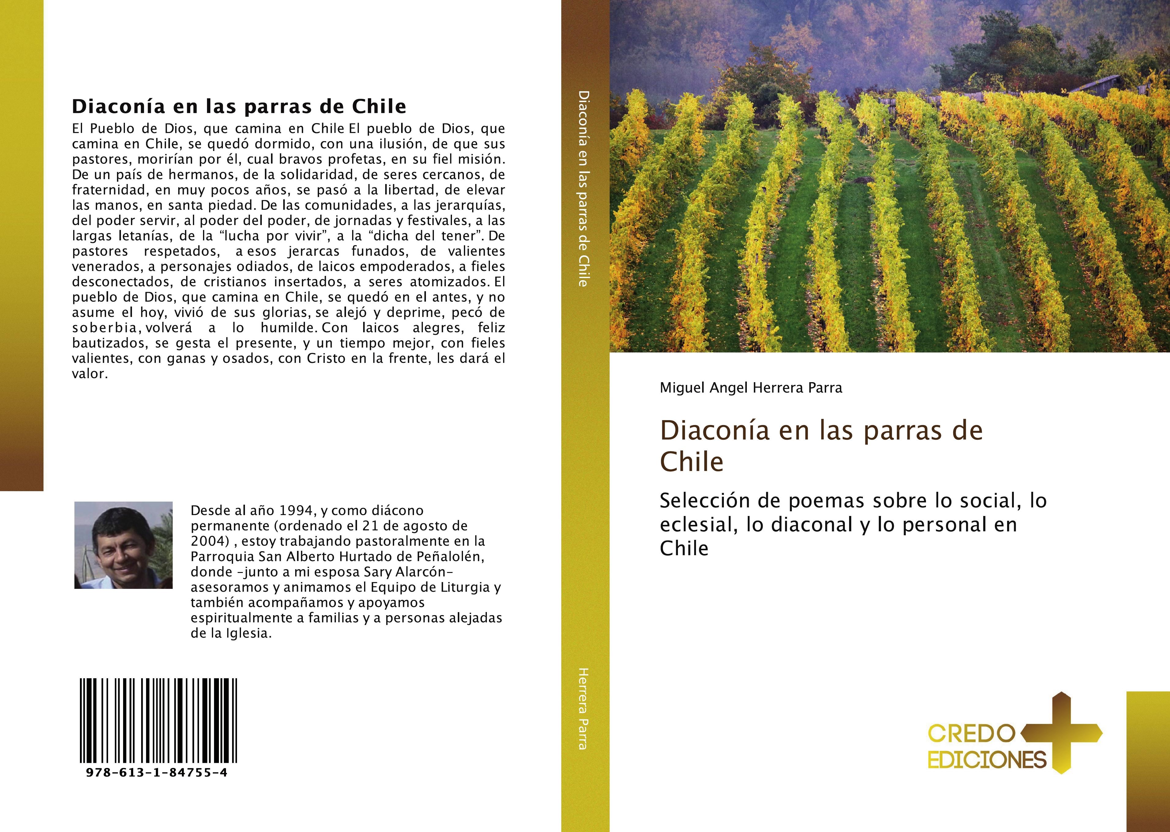 Vorderes Coverbild Diaconía en las parras de Chile