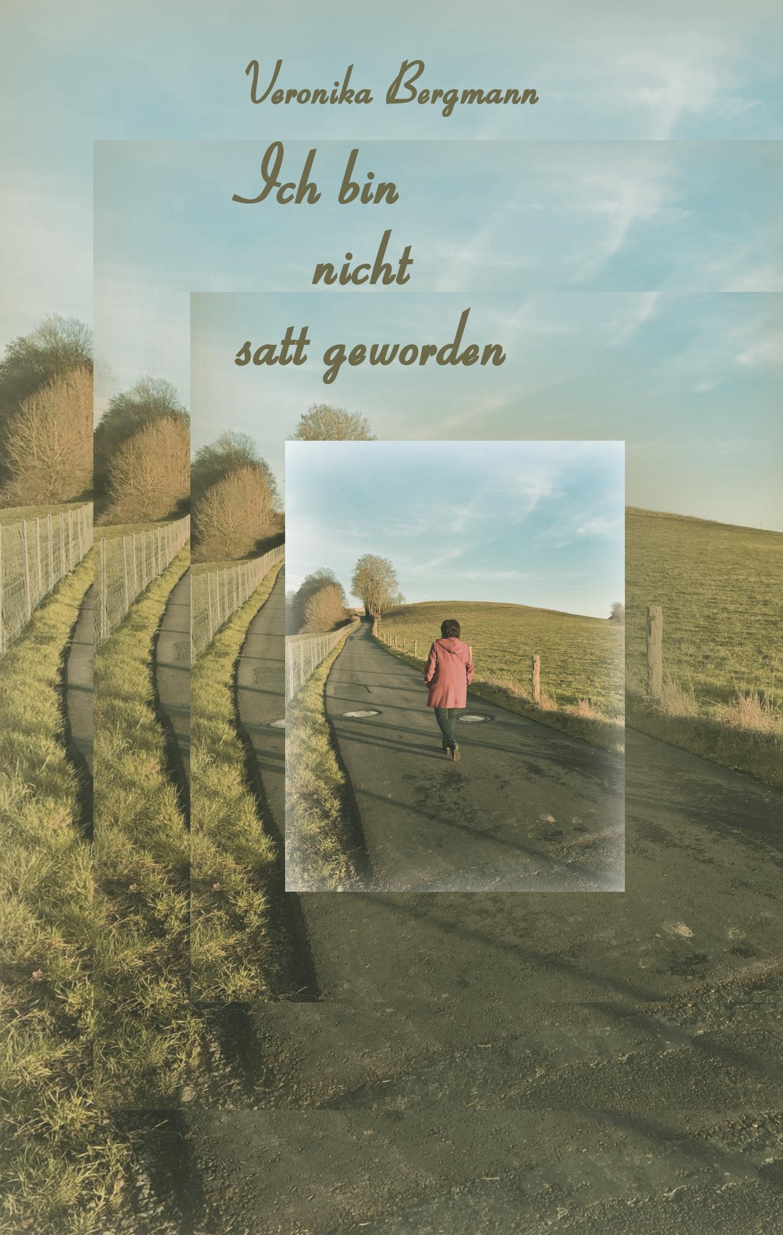Vorderes Coverbild Ich bin nicht satt geworden