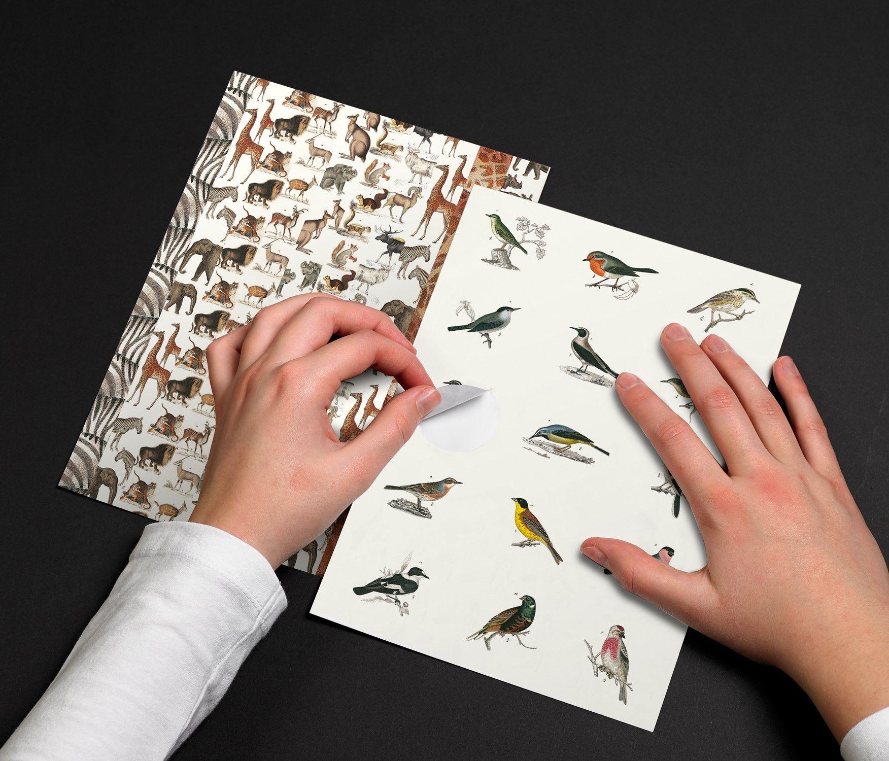 Beispielinhalt (Bild) Fauna