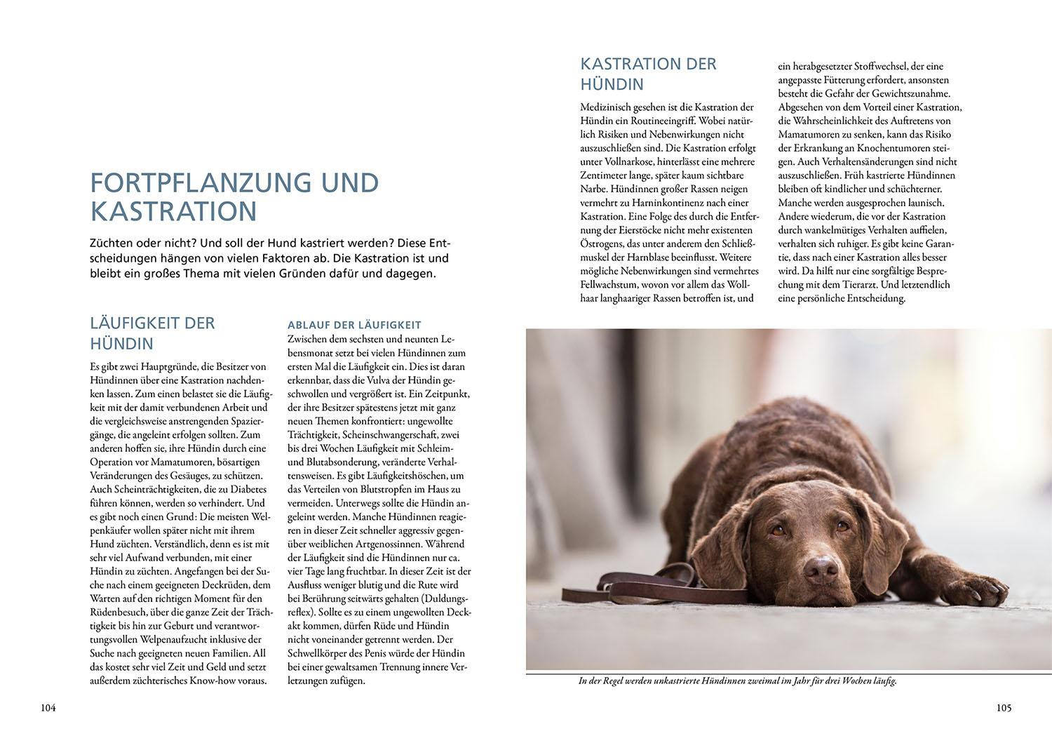 Beispielinhalt (Bild) Hundeführerschein und Sachkundenachweis