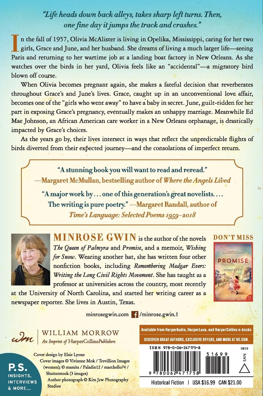 Rückseitencover The Accidentals