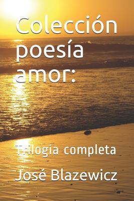 Vorderes Coverbild Colección poesía amor