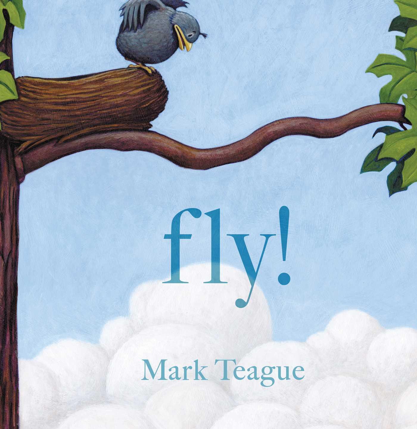 Vorderes Coverbild Fly!