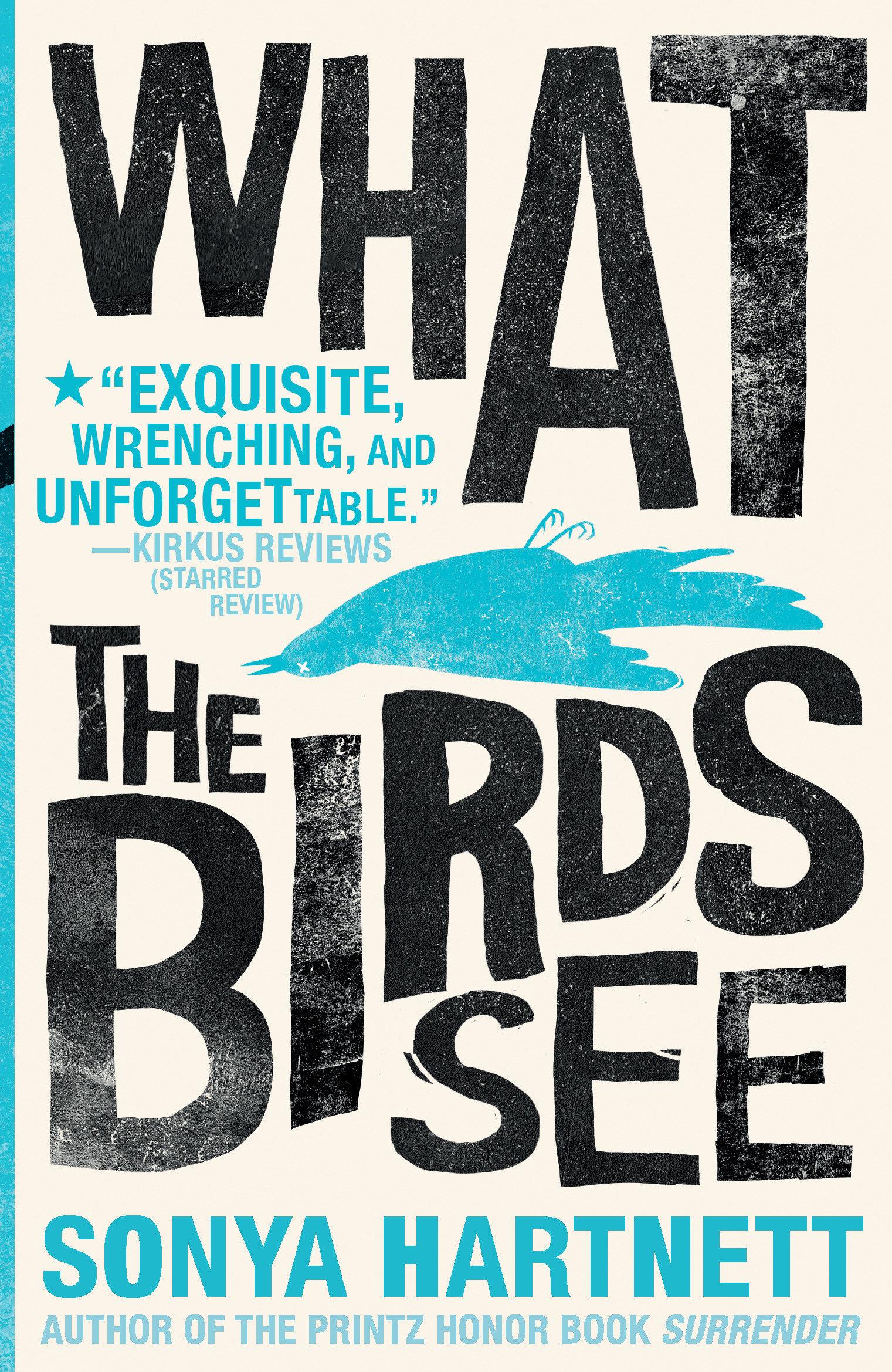 Vorderes Coverbild What the Birds See