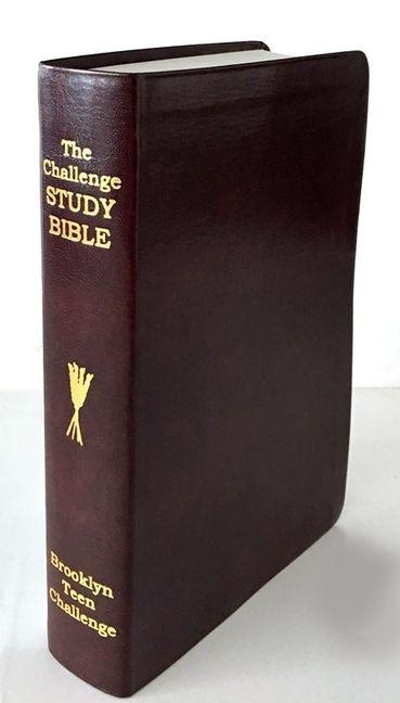 Vorderes Coverbild CEV Challenge Study Bible-Flexi Cover
