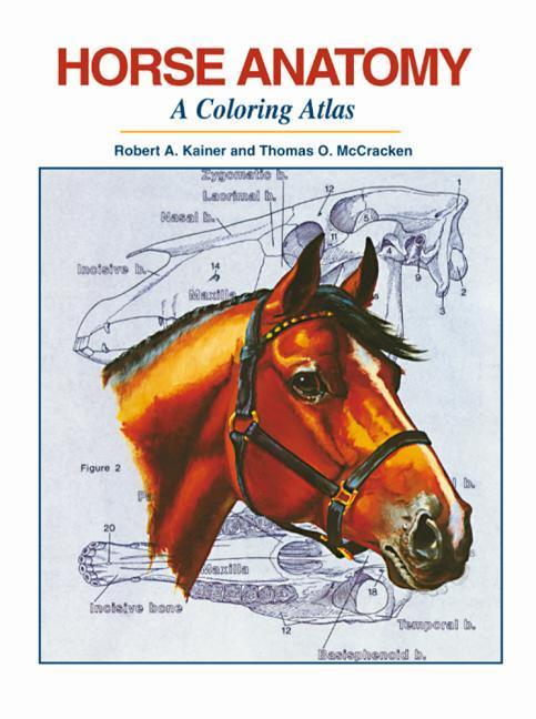 Vorderes Coverbild Horse Anatomy