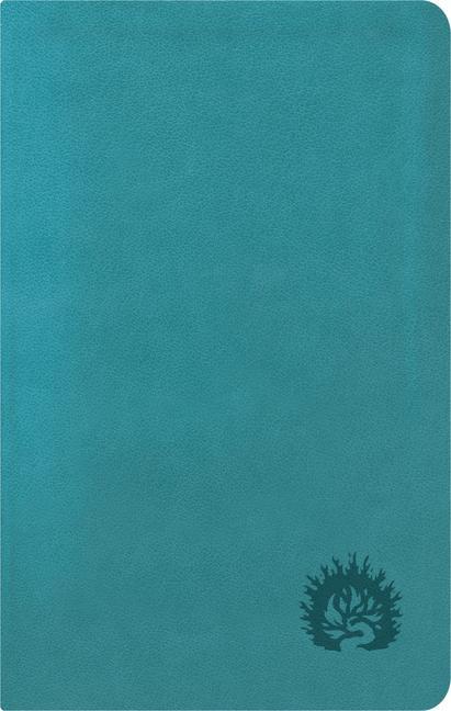Vorderes Coverbild ESV Reformation Study Bible, Condensed Edition - Turquoise, Leather-Like