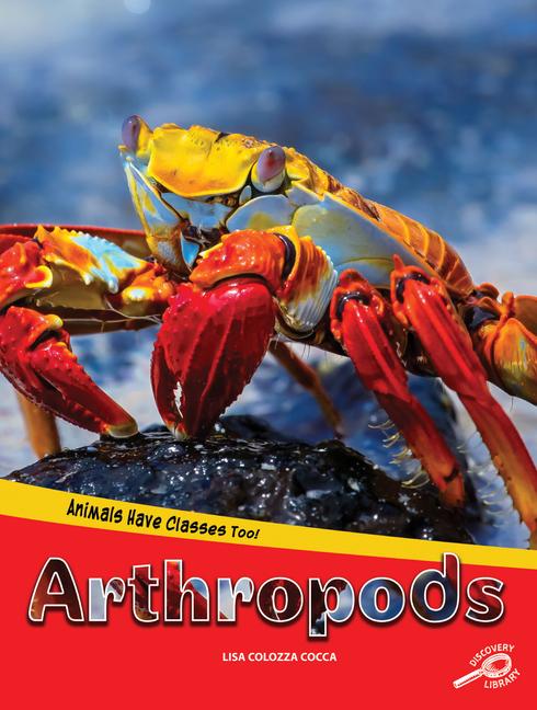 Vorderes Coverbild Animals Have Classes Too! Arthropods