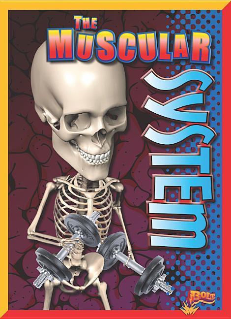 Vorderes Coverbild The Muscular System