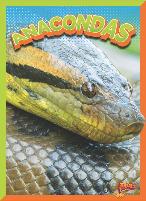 Vorderes Coverbild Anacondas