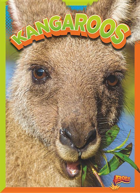 Vorderes Coverbild Kangaroos