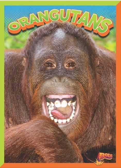 Vorderes Coverbild Orangutans