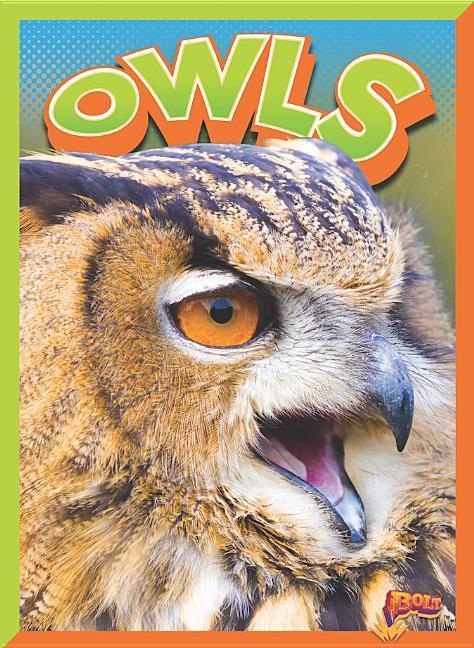 Vorderes Coverbild Owls