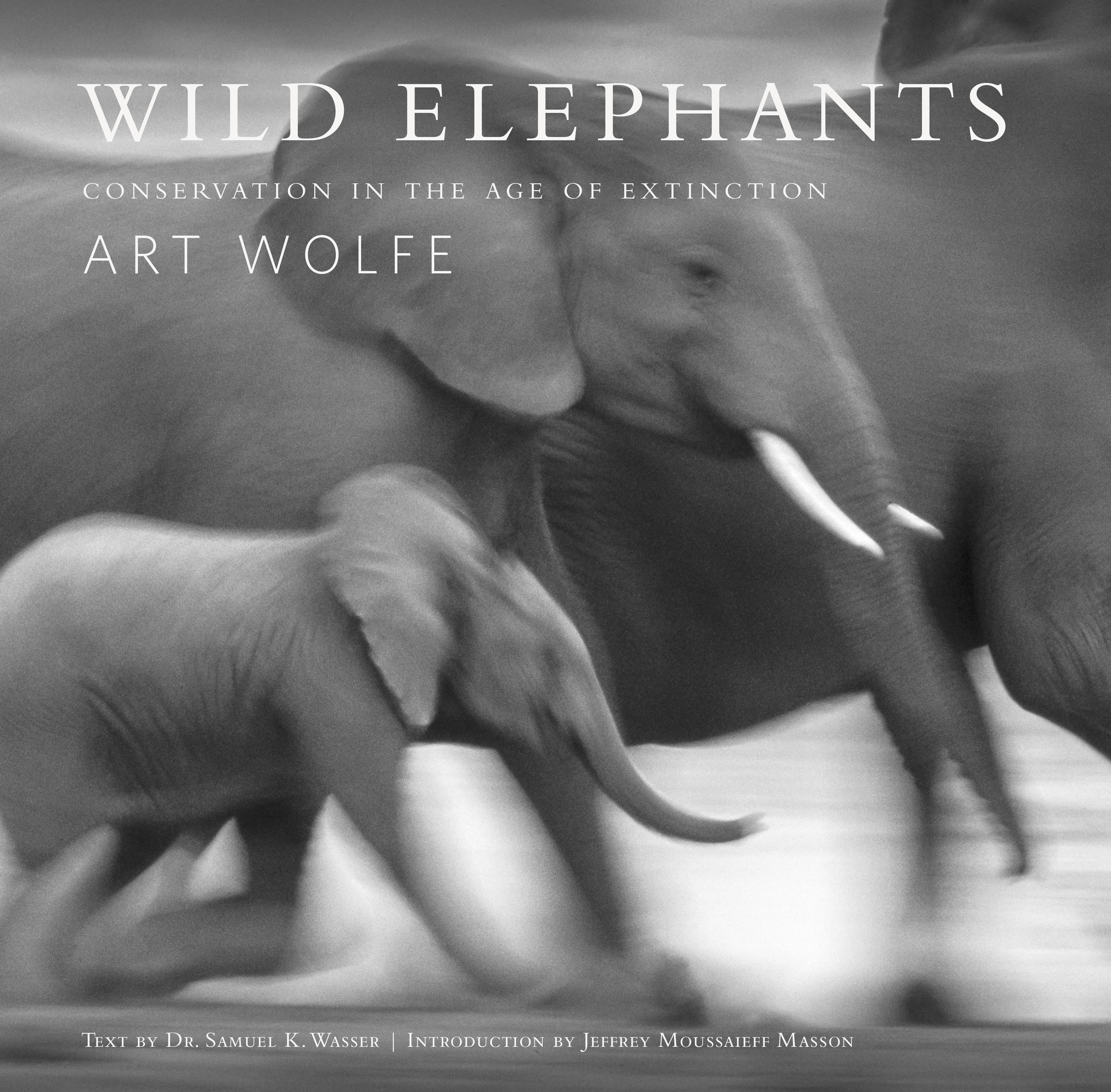Vorderes Coverbild Wild Elephants