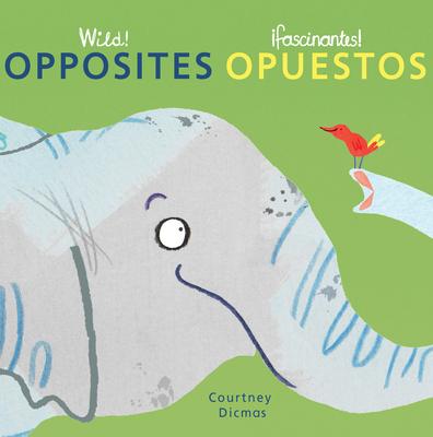 Vorderes Coverbild Opposites/Opuestos