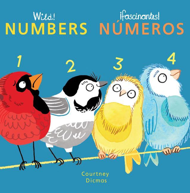 Vorderes Coverbild Numbers/Numeros