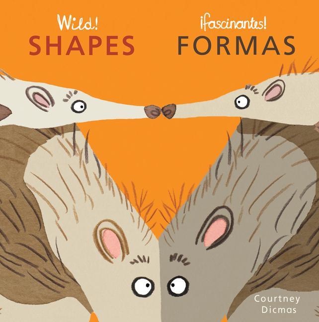 Vorderes Coverbild Wild! Shapes/Fasinates! Formas