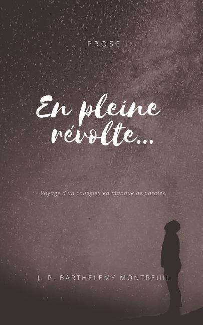 Vorderes Coverbild En pleine révolte.: Voyage d'un collegien en manque de paroles.